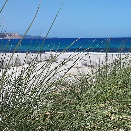 Casa Mirto - Villaggio Galanu Costa Paradiso