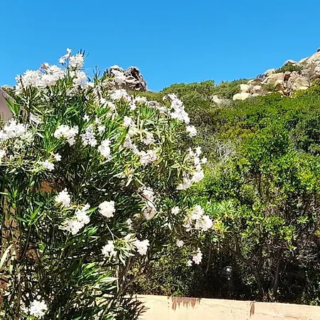 Casa Mirto - Villaggio Galanu